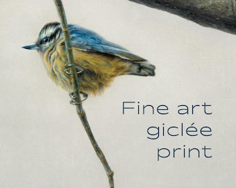May include: A fine art giclée print featuring a small bird with blue and golden-brown feathers perched on a thin, vertical branch. The bird has a dark eye and a pointed beak. The text "Fine art giclée print" is visible in dark blue.