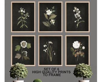 PRINTED: Set of 6- Home Decor, Vintage, Botanical, Rare Find, Neutral Aesthetic, Cottagecore, Farmhouse, Collage Walls