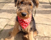 Noir et rouge réversible Bone impression chien Bandana foulard