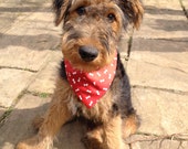 Black and Red Reversible Bone Print Dog Bandana Neckerchief