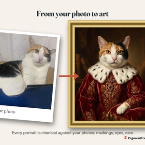 Before and after: original photo of a calico cat next to the finished 2 styles bundle