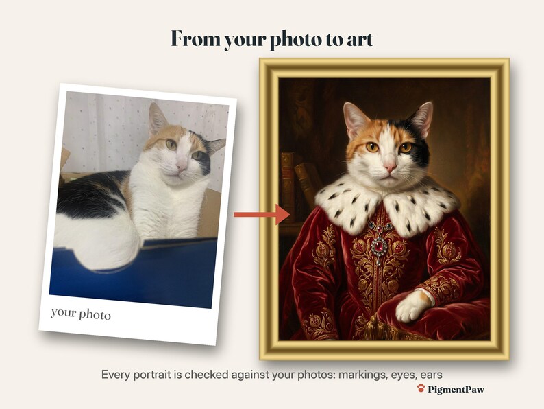 Before and after: original photo of a calico cat next to the finished 2 styles bundle