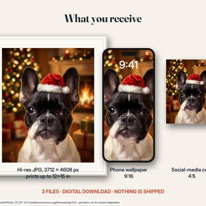 What you receive for the christmas portrait: the digital files included in this listing