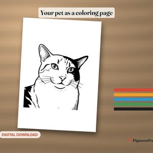 Coloring Page: printed black-and-white coloring page of a calico cat with colored pencils