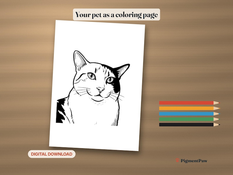 Coloring Page: printed black-and-white coloring page of a calico cat with colored pencils