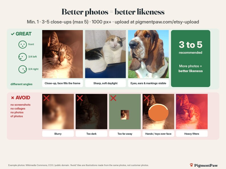 Photo guide: good photos (close-up, sharp, good light, several angles) vs photos to avoid (blurry, dark, far away, covered face, heavy filters)
