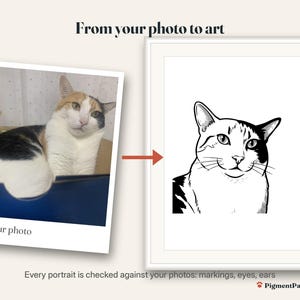 Before and after: original photo of a calico cat next to the finished coloring page