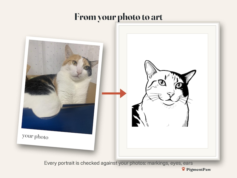 Before and after: original photo of a calico cat next to the finished coloring page
