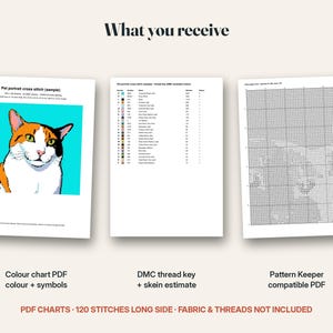What you receive for the cross stitch pattern: the digital files included in this listing