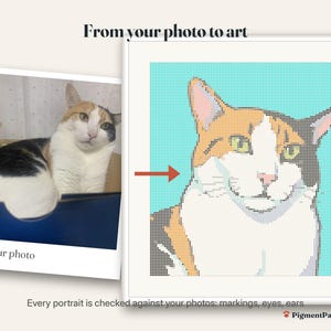 Before and after: original photo of a calico cat next to the finished cross stitch pattern