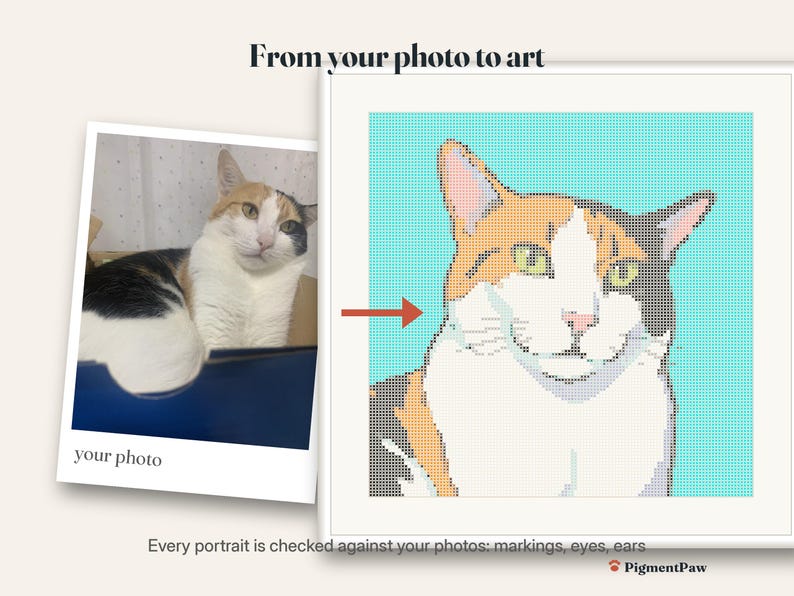Before and after: original photo of a calico cat next to the finished cross stitch pattern