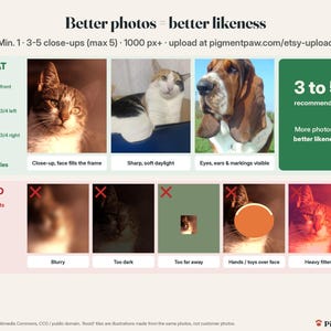 Photo guide: good photos (close-up, sharp, good light, several angles) vs photos to avoid (blurry, dark, far away, covered face, heavy filters)