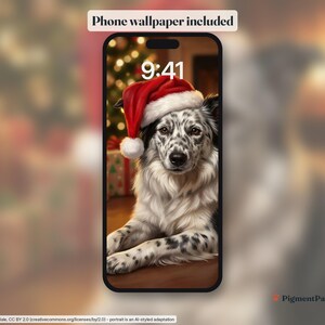 Phone lock screen with the black-and-white ticked Border Collie portrait as wallpaper (included)