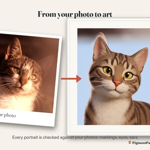 Before and after: original photo of a tabby cat next to the finished 3d cartoon portrait