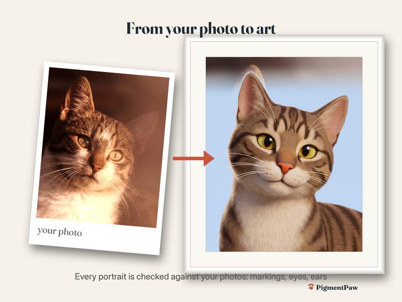Before and after: original photo of a tabby cat next to the finished 3d cartoon portrait