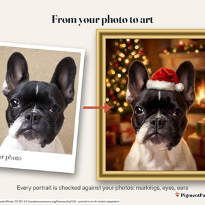 Before and after: original photo of a black-and-white French Bulldog next to the finished christmas portrait