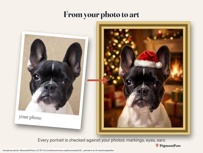 Before and after: original photo of a black-and-white French Bulldog next to the finished christmas portrait
