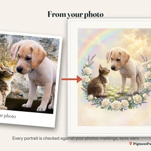 Before and after: original photo of a tabby kitten and cream puppy next to the finished memorial portrait