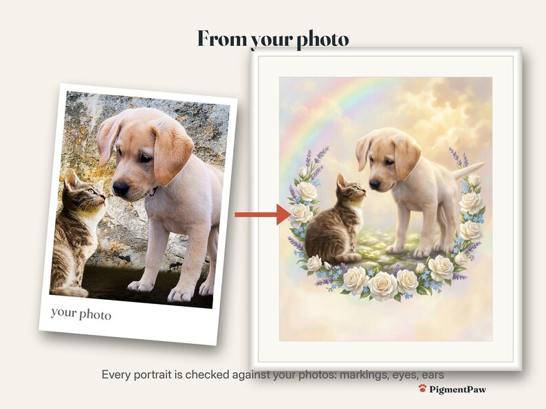 Before and after: original photo of a tabby kitten and cream puppy next to the finished memorial portrait