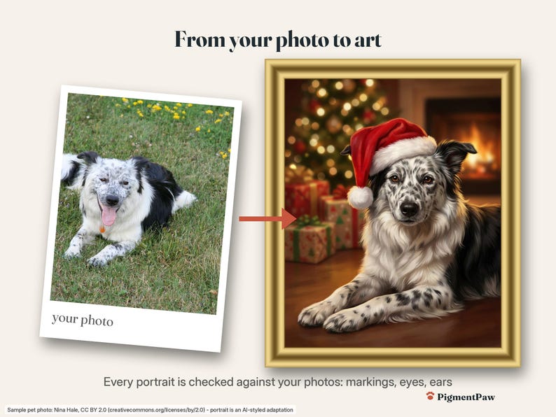 Before and after: original photo of a black-and-white ticked Border Collie next to the finished christmas gift bundle