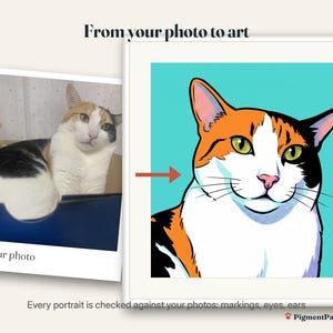 Before and after: original photo of a calico cat next to the finished pop art portrait