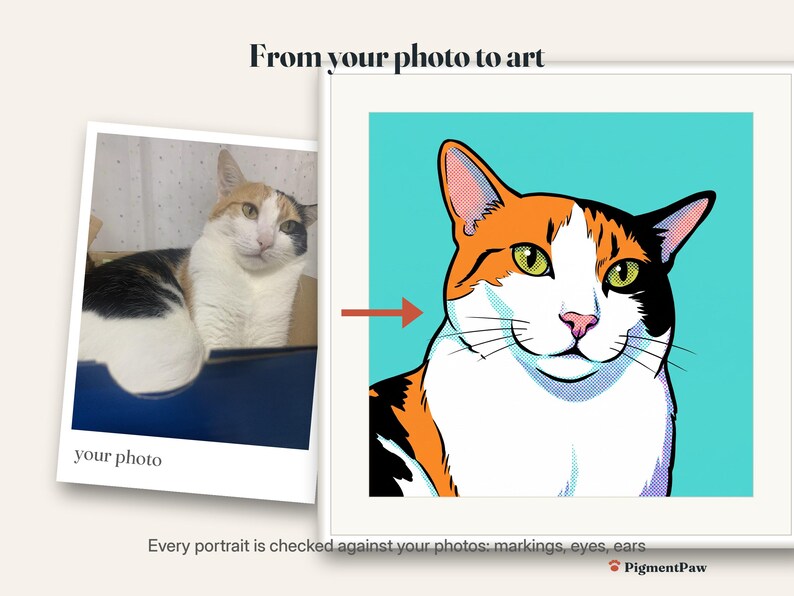 Before and after: original photo of a calico cat next to the finished pop art portrait