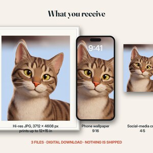 What you receive for the 3d cartoon portrait: the digital files included in this listing