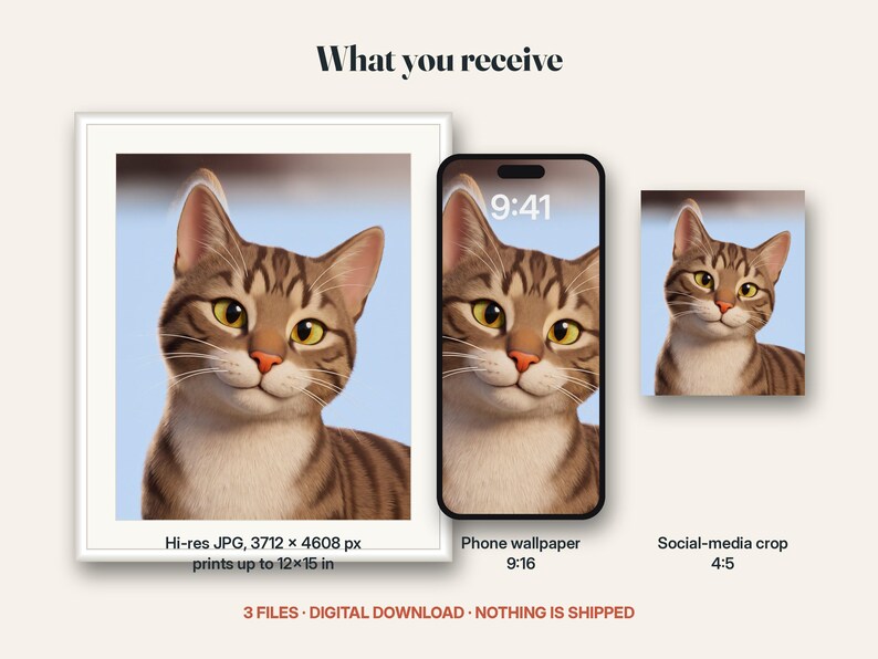 What you receive for the 3d cartoon portrait: the digital files included in this listing