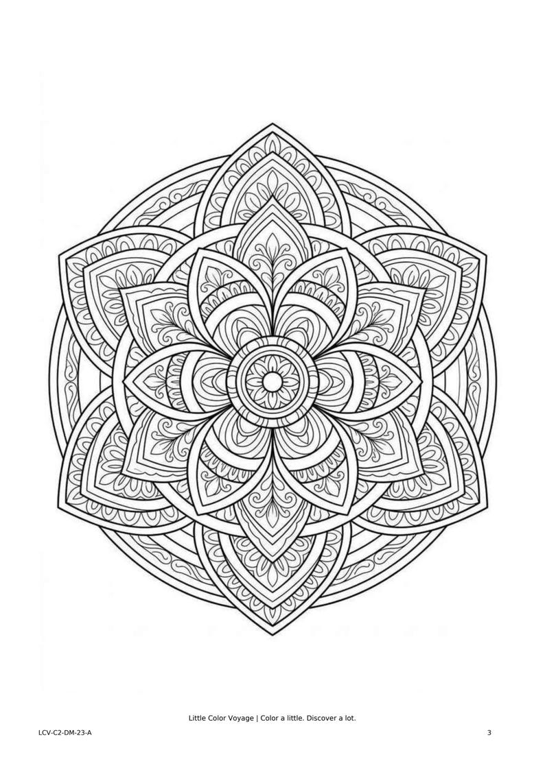 Pattern Coloring Book, 25 Detailed Decorative Printables, Ages 11-14 ...