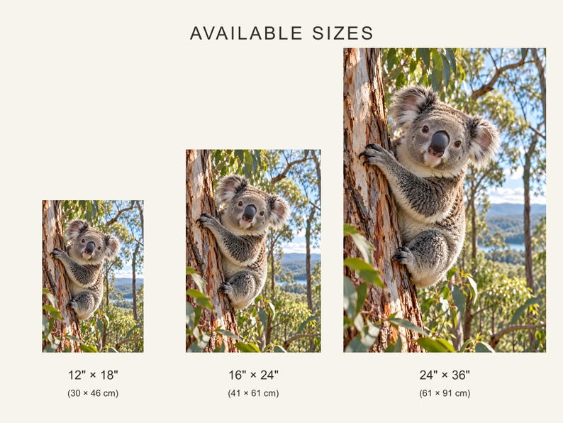 Koala Print | Eucalyptus Wall Art | Cinematic Animal Portrait image 4