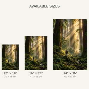 Peut inclure: Trois impressions d'art mural verticales repr&eacute;sentant une for&ecirc;t avec une personne debout parmi de grands arbres et des rayons de soleil. Les tailles disponibles sont 30 cm par 46 cm, 41 cm par 61 cm et 61 cm par 91 cm.