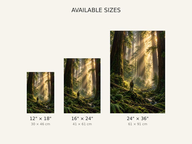 Peut inclure: Trois impressions d'art mural verticales repr&eacute;sentant une for&ecirc;t avec une personne debout parmi de grands arbres et des rayons de soleil. Les tailles disponibles sont 30 cm par 46 cm, 41 cm par 61 cm et 61 cm par 91 cm.