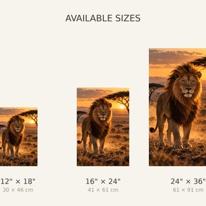 Puede incluir: Tres impresiones verticales de pared con un le&oacute;n en la sabana al atardecer. El texto AVAILABLE SIZES aparece arriba. Las impresiones se muestran en tama&ntilde;os de 30 x 46 cm, 41 x 61 cm y 61 x 91 cm, con equivalentes imperiales debajo.
