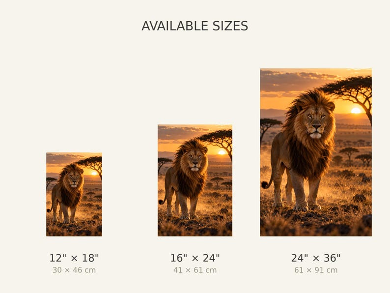 Puede incluir: Tres impresiones verticales de pared con un le&oacute;n en la sabana al atardecer. El texto AVAILABLE SIZES aparece arriba. Las impresiones se muestran en tama&ntilde;os de 30 x 46 cm, 41 x 61 cm y 61 x 91 cm, con equivalentes imperiales debajo.