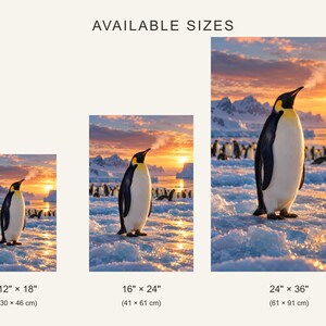 K&ouml;nnte beinhalten: Drei rechteckige Wandbilder mit einem K&ouml;nigspinguin auf Eis bei Sonnenuntergang, mit dem Text AVAILABLE SIZES und den Ma&szlig;en 30 x 46 cm, 41 x 61 cm und 61 x 91 cm unter jedem entsprechenden Bild.