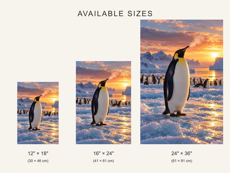 K&ouml;nnte beinhalten: Drei rechteckige Wandbilder mit einem K&ouml;nigspinguin auf Eis bei Sonnenuntergang, mit dem Text AVAILABLE SIZES und den Ma&szlig;en 30 x 46 cm, 41 x 61 cm und 61 x 91 cm unter jedem entsprechenden Bild.