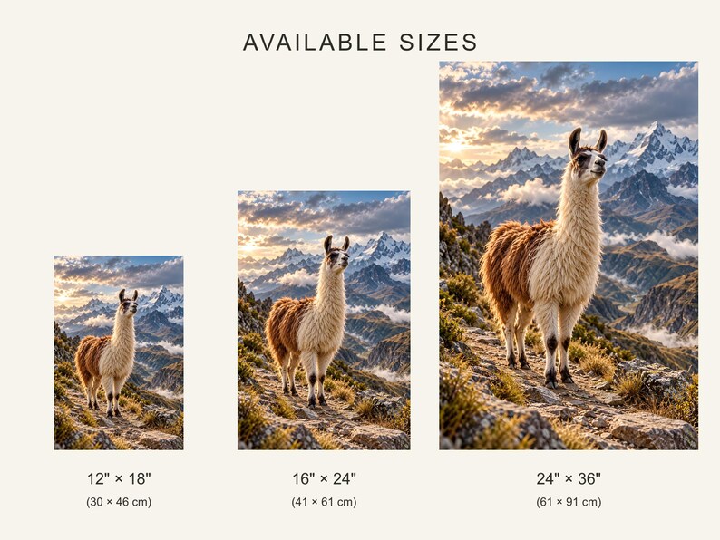 Llama Print | Andes Mountain Wall Art | Cinematic Animal Portrait image 4