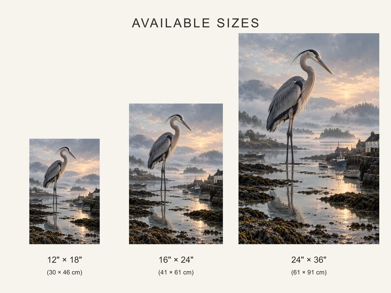 Op de afbeelding: Drie verticale prints met een grijze reiger die bij zonsopgang in ondiep water bij een haven staat. De beschikbare maten zijn 30 cm bij 46 cm, 41 cm bij 61 cm en 61 cm bij 91 cm, met de tekst AVAILABLE SIZES erboven.