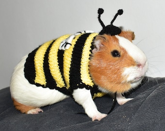 Bee Guinea Pig Costume: Sweater and Hat, Small Pet Clothes, Chinchilla Outfit, Ferret Clothing