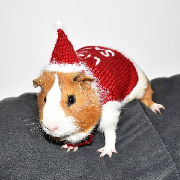 Christmas Guinea Pig Sweater and Hat "Little Santa" Guinea Pig Clothes Christmas Guinea Pig Costume Small Pet Chinchilla Ferret Outfits Gift