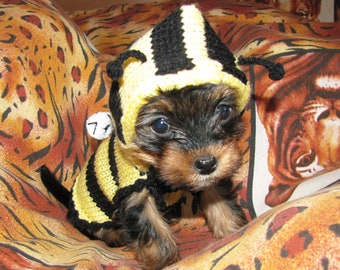 teacup yorkie christmas clothes