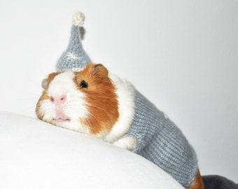Guinea Pig Christmas Sweater GUINEA PIG Clothes And HAT Guinea Pig Costume - Guinea Pig Accessories Chinchilla clothes Ferret Clothes Outfit