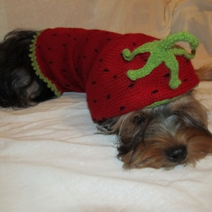 May include: A small brown and black dog wearing a red and green knitted strawberry costume.