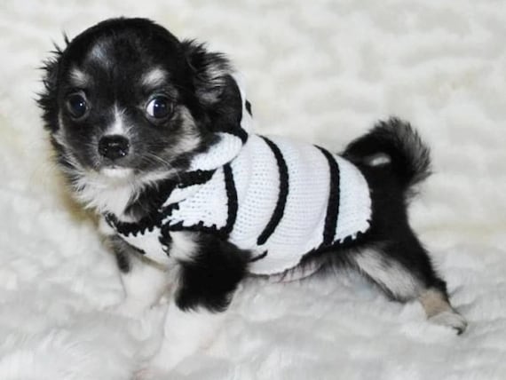 Chihuahua clothig chihuahua clothes sweater dog sweater jumper, puppy clothes sweater, knitted dog clothes, dog clothing small dog costume