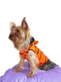 TIGER Halloween Dog Costume Small DOG SWEATER Designer Yorkie Clothes Chihuahua Sweater Boy Dog Clothes Puppy Girl Dog Outfit Dog Hoodie product logo