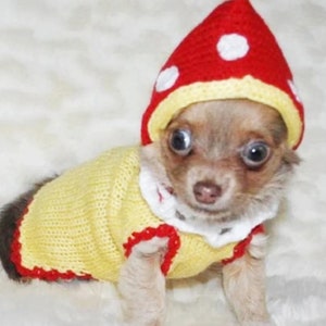 Small Dog Clothes Dog Sweater Mushroom Chihuahua Clothes Yorkie Clothing Halloween Dog Costume French Bulldog Pitbull Puppy Outfits Hoodie image 1