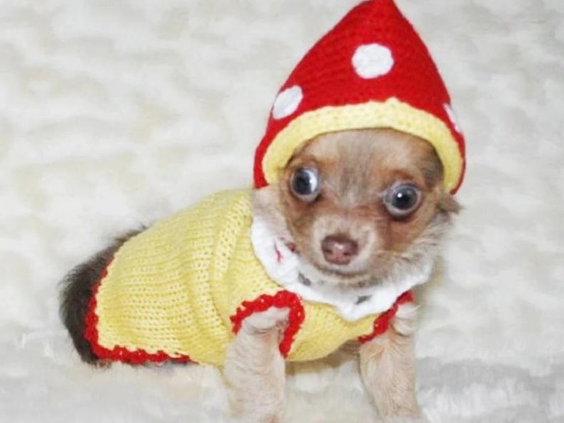 Small Dog Clothes Dog Sweater Mushroom Chihuahua Clothes Yorkie Clothing Halloween Dog Costume French Bulldog Pitbull Puppy Outfits Hoodie image 1