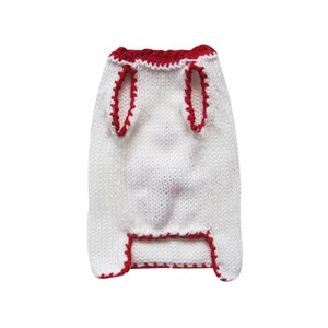 May include: White knitted dog sweater with red trim around the neck and armholes.