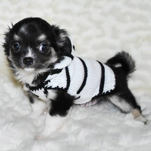 Abbigliamento per chihuahua maglione per vestiti per chihuahua maglione per cani, maglione per vestiti per cuccioli, vestiti per cani lavorati a maglia, costume per cani di piccola taglia