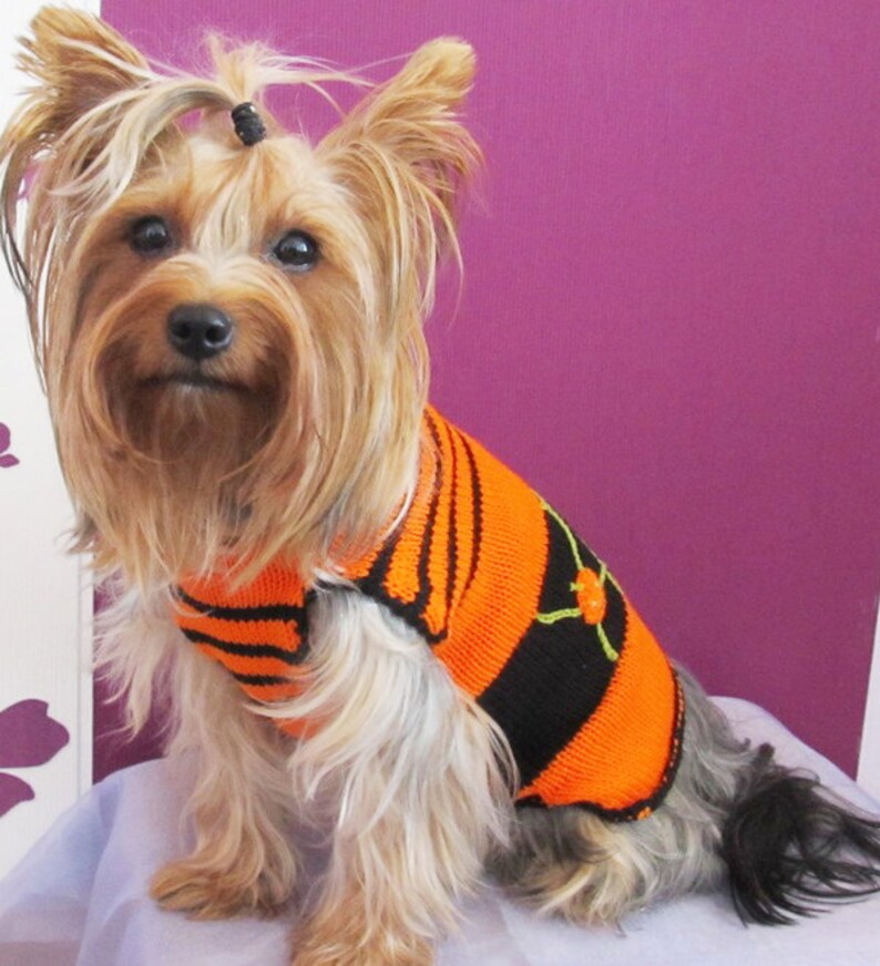 Dog costumes, halloween dog costumes pet puppy costumes halloween cat pet dog sweater apparel small medium large xxxs xxs xs s m L xL Custom image 2